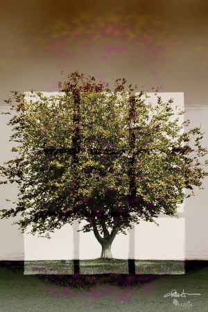 Window2 on a Green Tree 2x3
